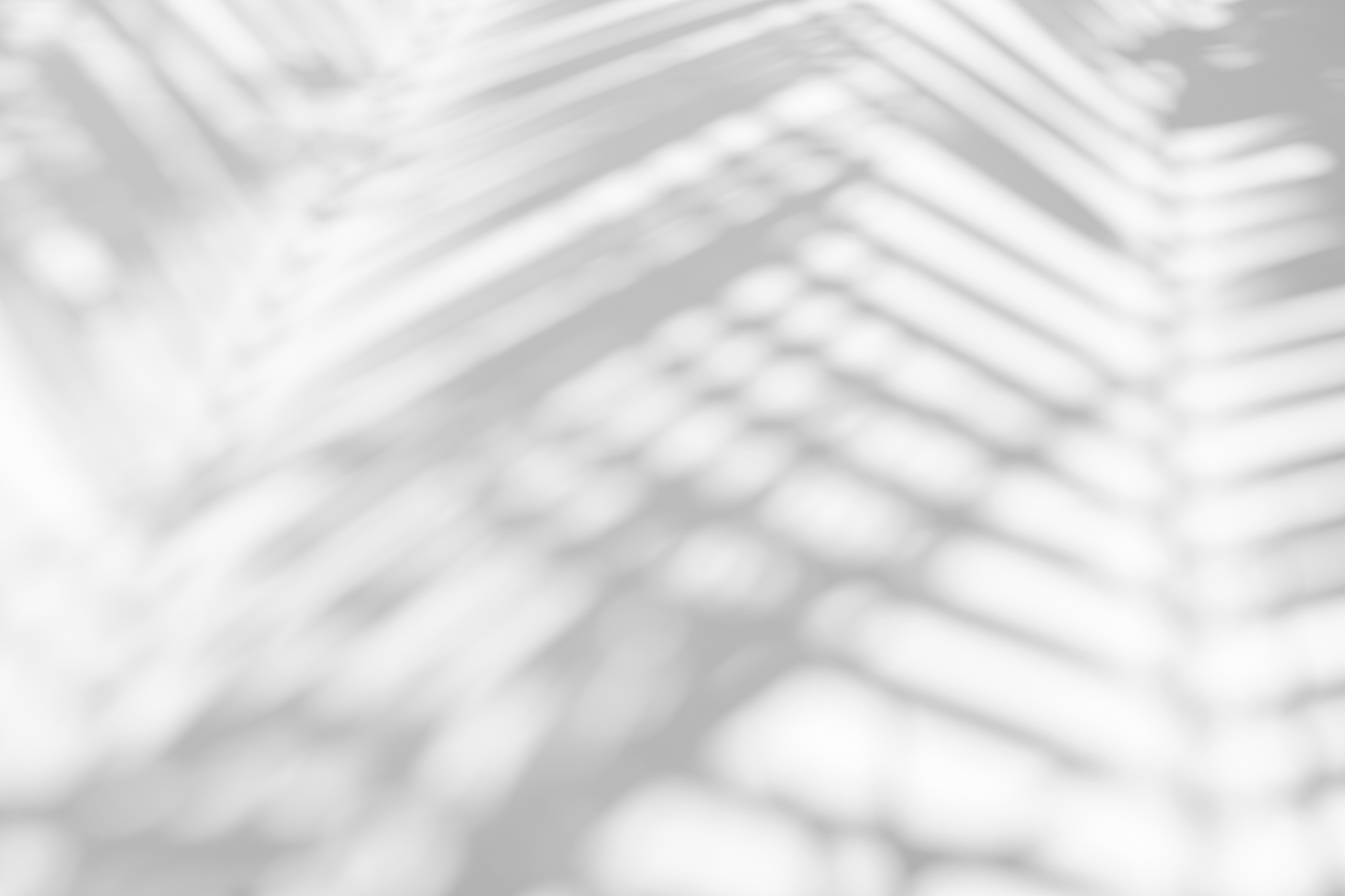 abstract background of shadows palm leaf on a white wall